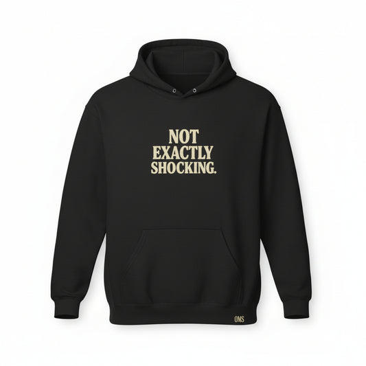 Not Exactly Shocking Hoodie — Minimalist Graphic Pullover